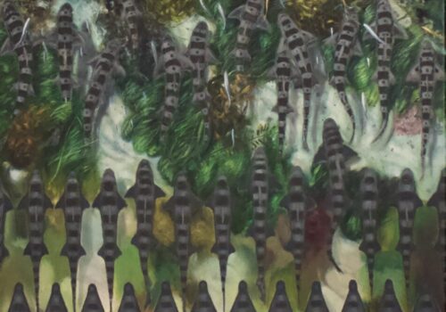 Leopard Sharks